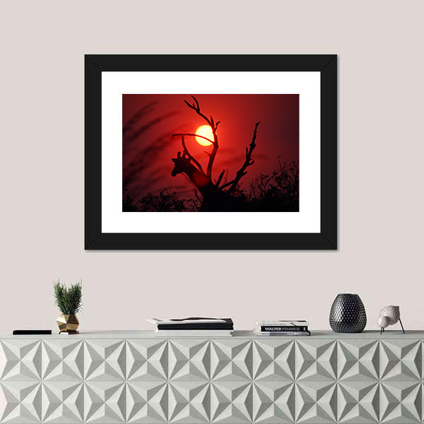 An African Sunset In Mikumi Forest Tanzania Canvas Wall Art