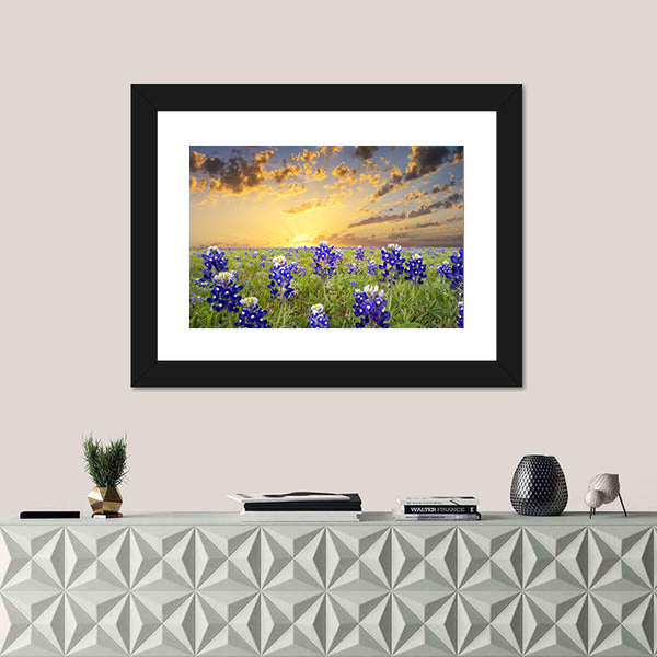 Bluebonnets In The Texas Hill County Canvas Wall Art