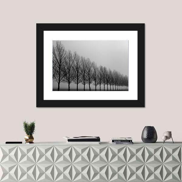 Autumn Trees in Mist Canvas Wall Art