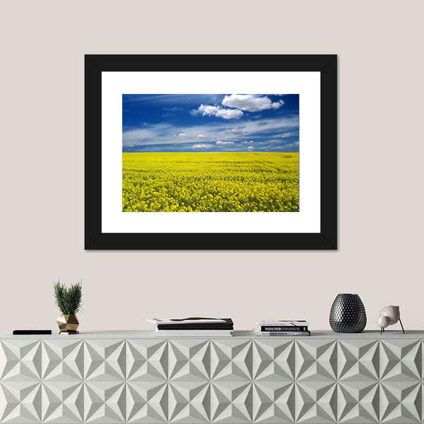 Golden Canola Field Canvas Wall Art