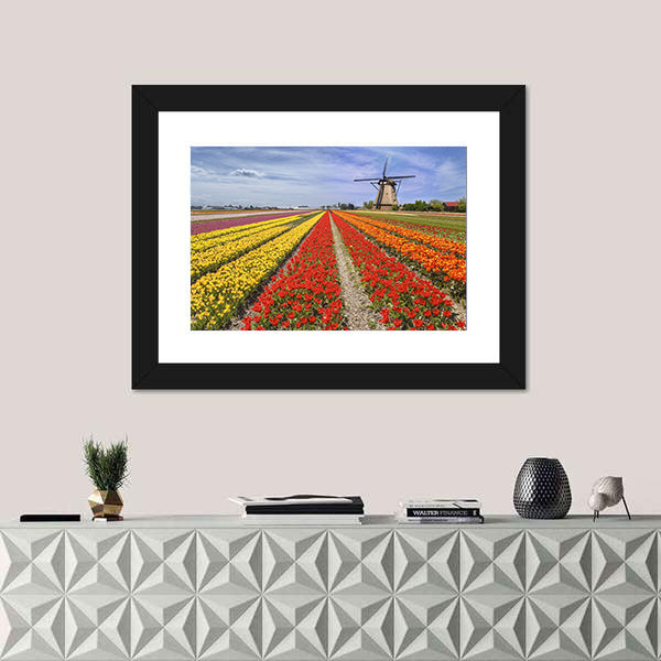 Colorful Dutch Tulip Fields with Windmill Canvas Wall Art