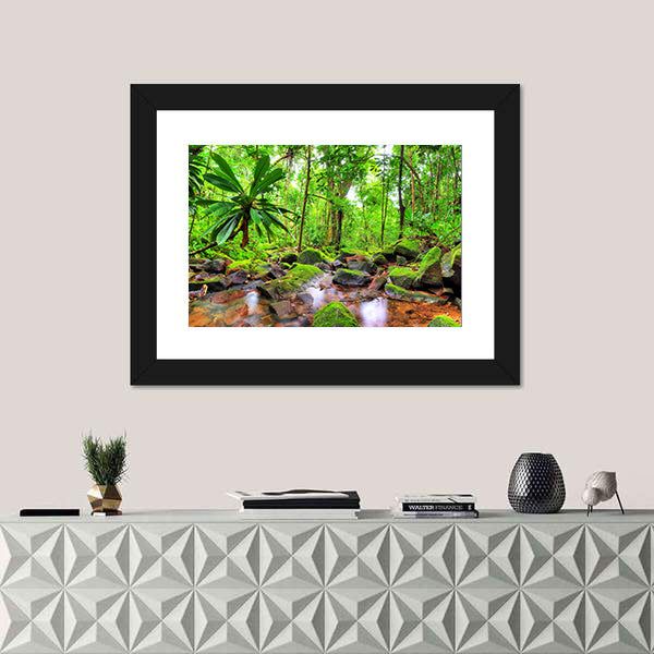 Masoala National Park in Madagascar Canvas Wall Art