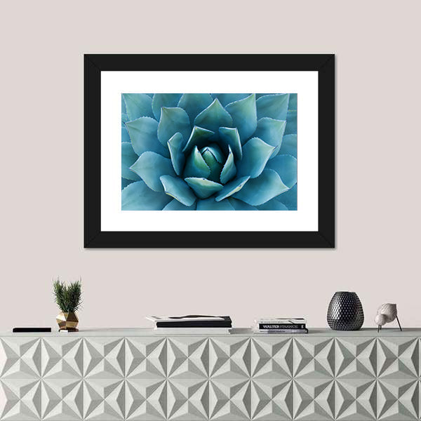 Closeup Of An Agave Plant Canvas Wall Art