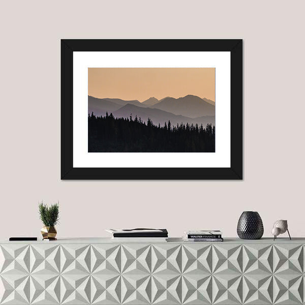 Early Morning Mist On Forest Mountain Canvas Wall Art
