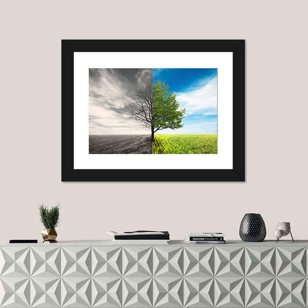 Lonely Tree In Field Canvas Wall Art