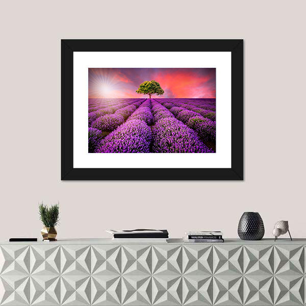 Lavender Field At Sunset Canvas Wall Art
