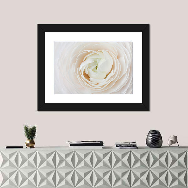 Closeup of Ranunculus Flower Canvas Wall Art
