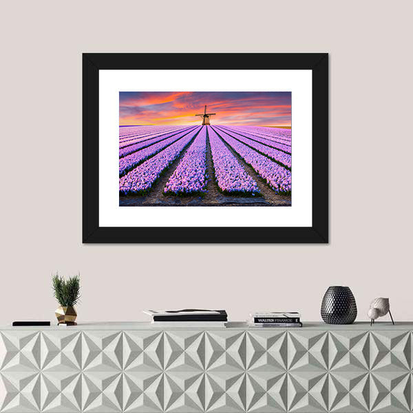 Spring Scene On The Flowers Farm In Netherlands Canvas Wall Art