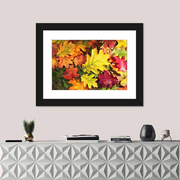 Colorful Oak Autumn Season Leaves Canvas Wall Art