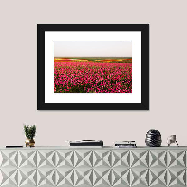 Field of Spring Flowers Canvas Wall Art