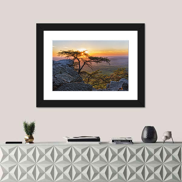 Gnarled Tree at Sunset Overlook Canvas Wall Art