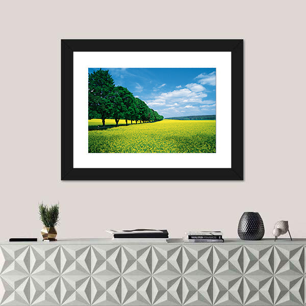 Spring Fields And Allee In Summer Canvas Wall Art