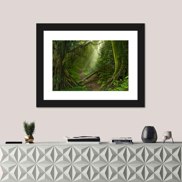 Asian Rain Forest With Sun Rays Canvas Wall Art