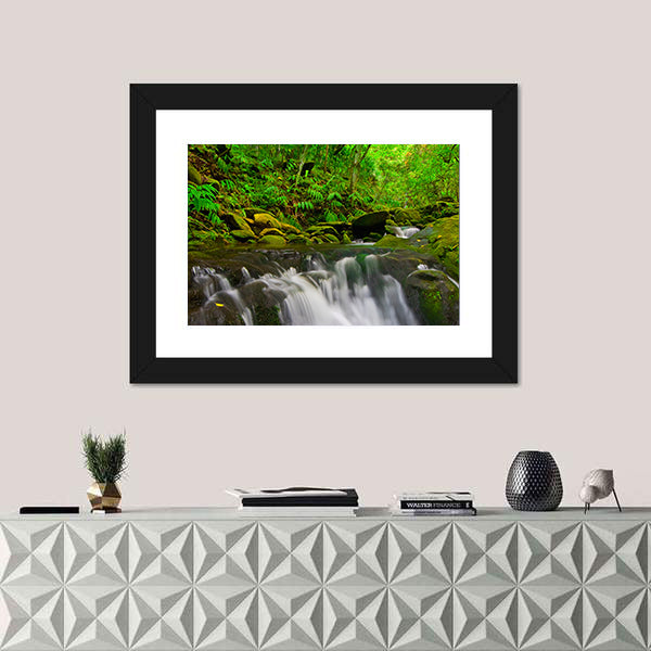 Stream Flowing Through Lush Jungle In Maui Hawaii Canvas Wall Art