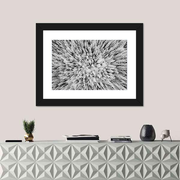 Snow Covered Evergreen Forests In The Colorado Rocky Mountains Canvas Wall Art