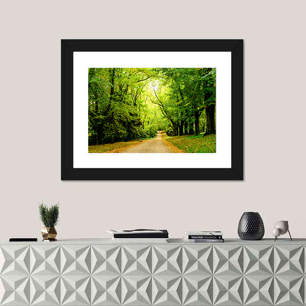 Path In The Forest Woods Canvas Wall Art