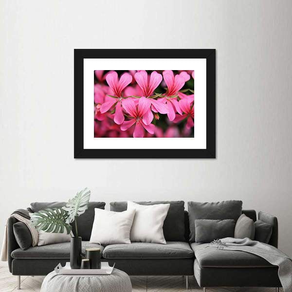 Pink Geranium Cascade Flowers Canvas Wall Art