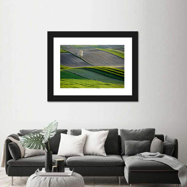 Wavy Fields In Poland Canvas Wall Art