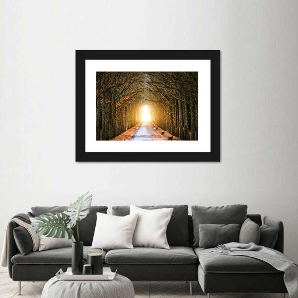 Autumn Tree Tunnel with Benches Canvas Wall Art
