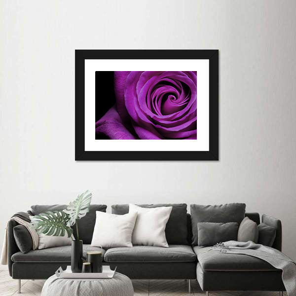 Purple Rose Close-Up Canvas Wall Art