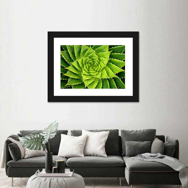 Vivid Green Spiral Aloe Plant Canvas Wall Art