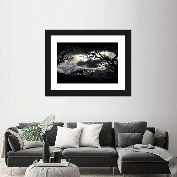 Silhouetted Trees Under Storm Clouds Canvas Wall Art