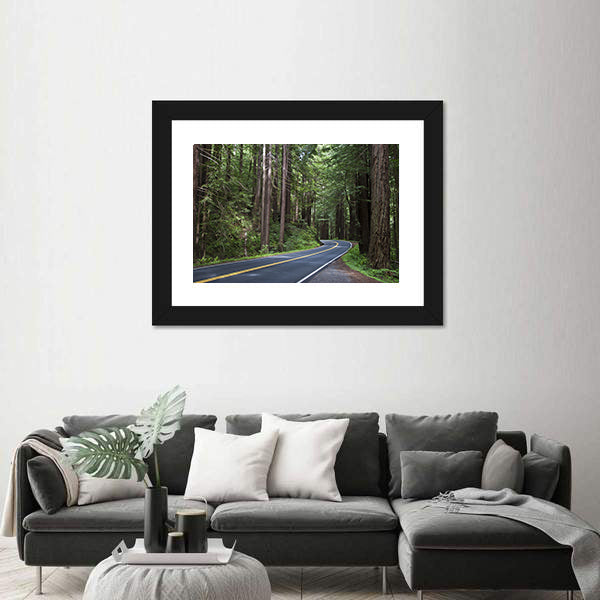 Redwoods Forest In California Canvas Wall Art