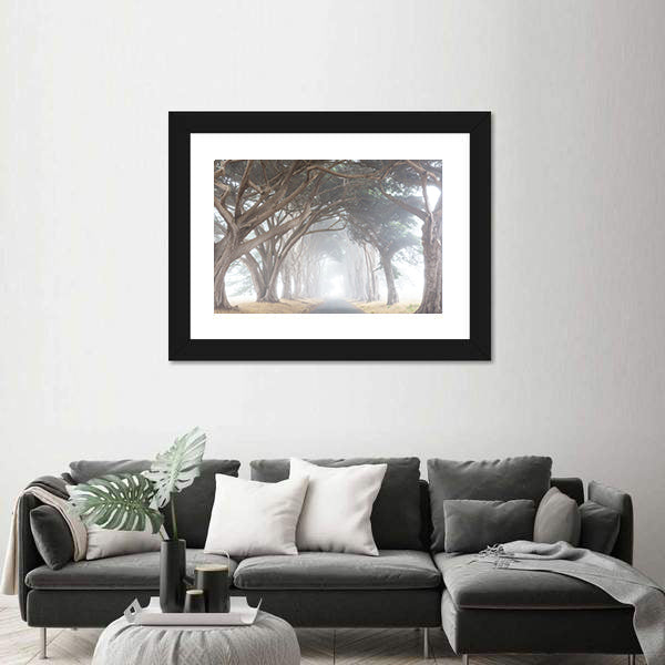 Misty Trees Alley In Foggy Weather Canvas Wall Art