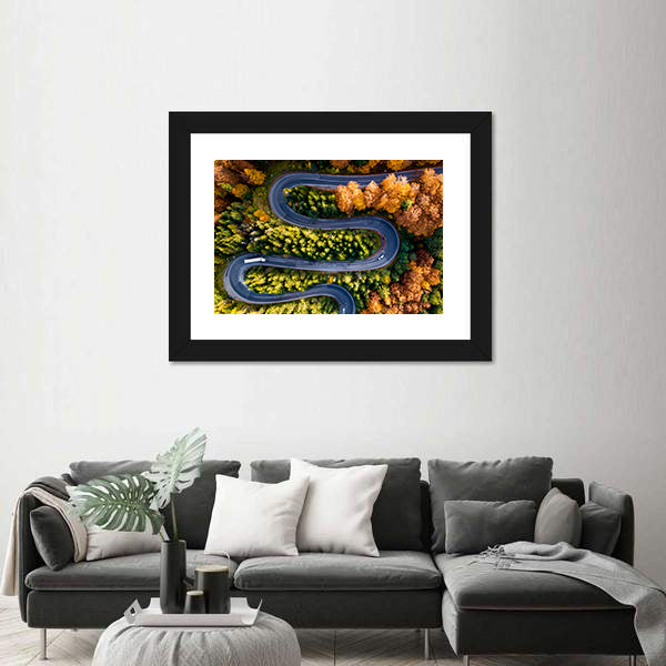 Winding Forest Road From Top Canvas Wall Art
