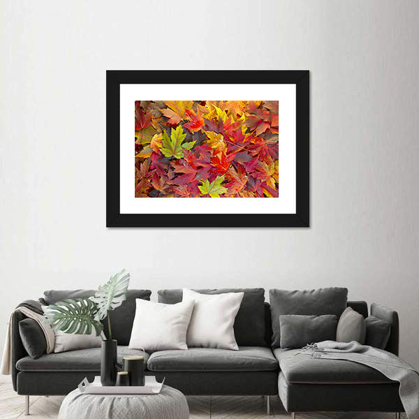 Colorful Maple Leaves Canvas Wall Art