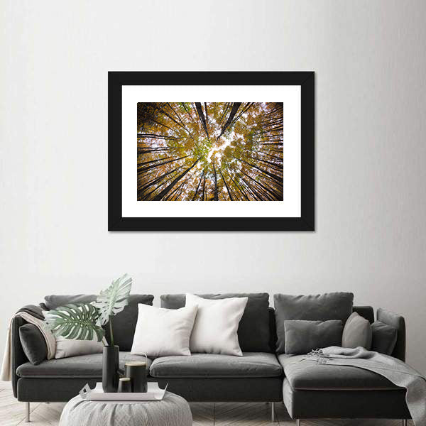 Autumn Forest Treetops Canvas Wall Art