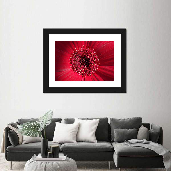 Red Gerbera Daisy Center Canvas Wall Art