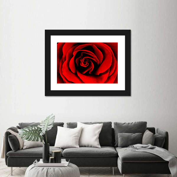 Closeup Of A Red Rose Canvas Wall Art