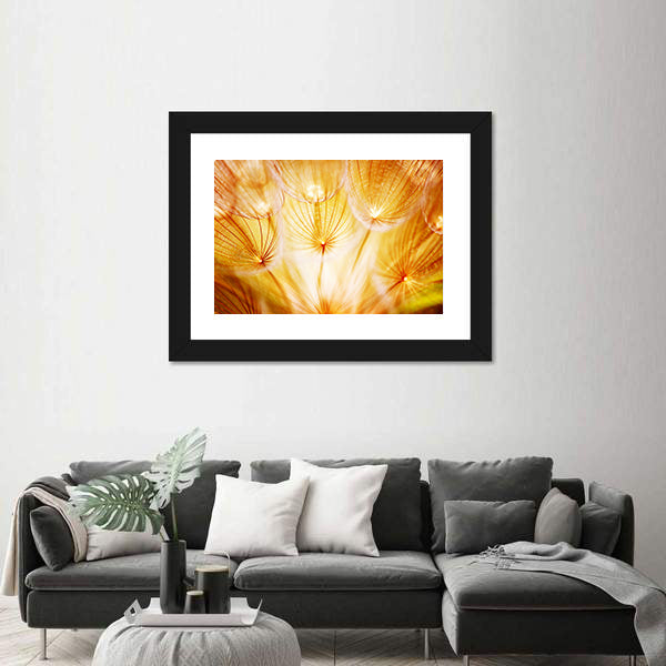 Soft Dandelion Flower Canvas Wall Art