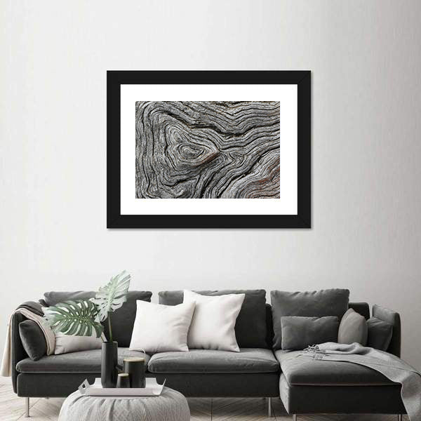 Weathered Wood Grain Macro Canvas Wall Art