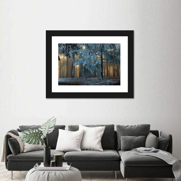 Fog In The forest In Uludag Turkey Canvas Wall Art