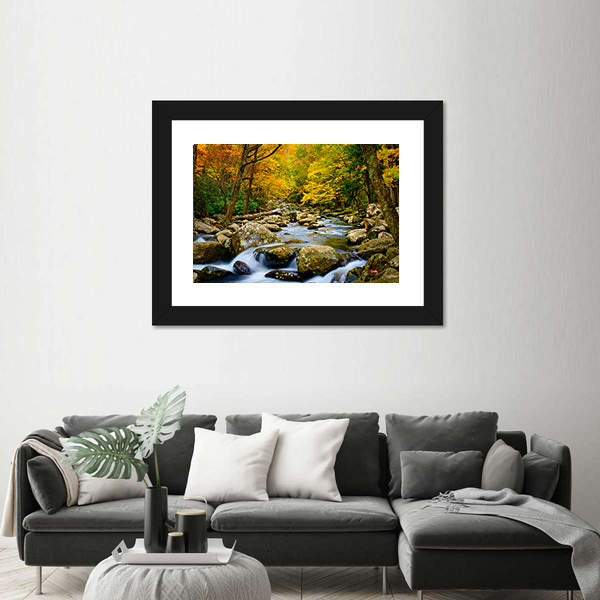 Rushing Stream in Great Smokey Mountains Canvas Wall Art