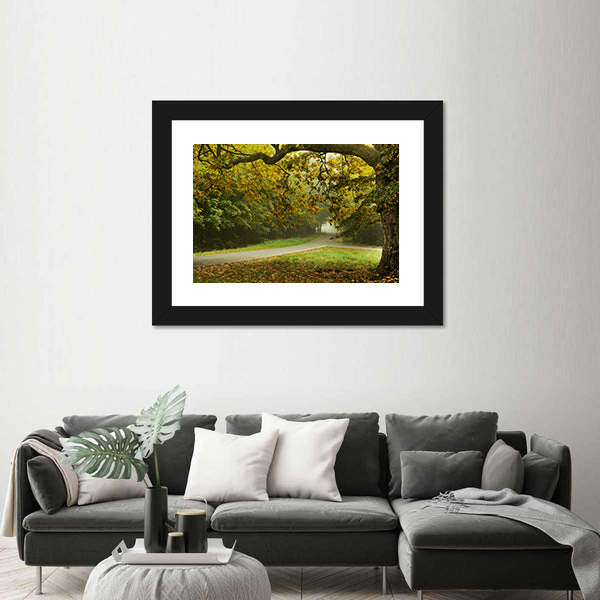 Misty Autumn Forked Path Canvas Wall Art