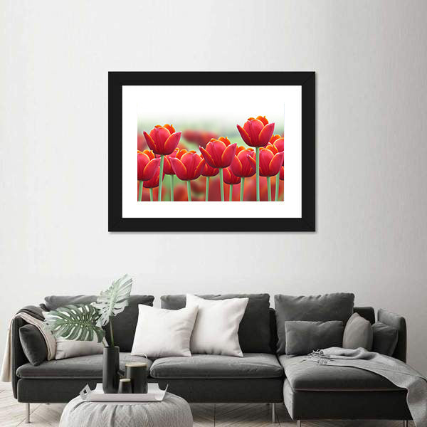 Spring Tulip Flower Canvas Wall Art