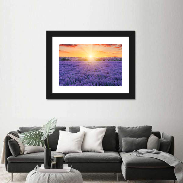Lavender Fields At Sunset Canvas Wall Art