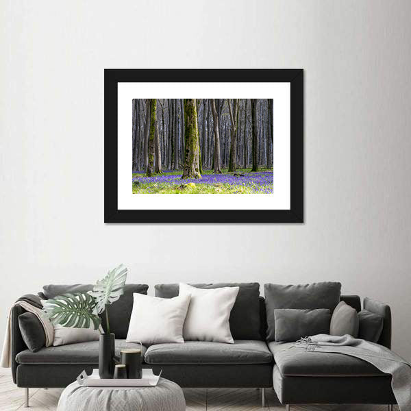 Springtime Bluebell Wood in England Canvas Wall Art