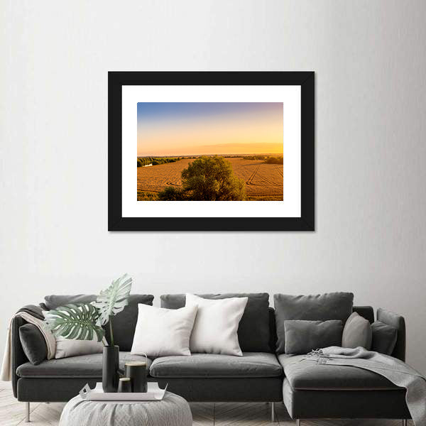 Sunset Over Golden Field with Curved Tracks Canvas Wall Art