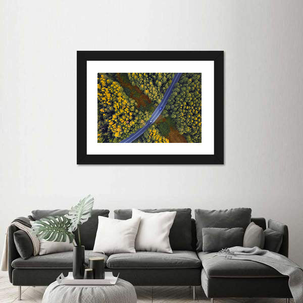 Travel Through Forest Canvas Wall Art