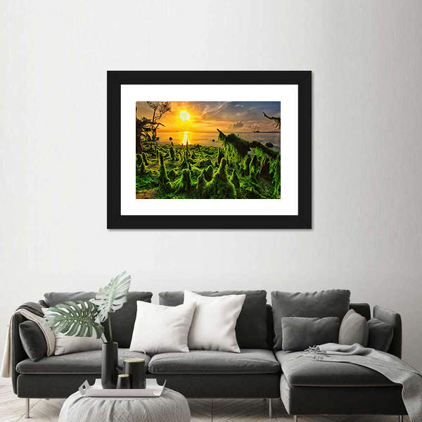 Moss-covered Mangrove Roots at Sunset Canvas Wall Art