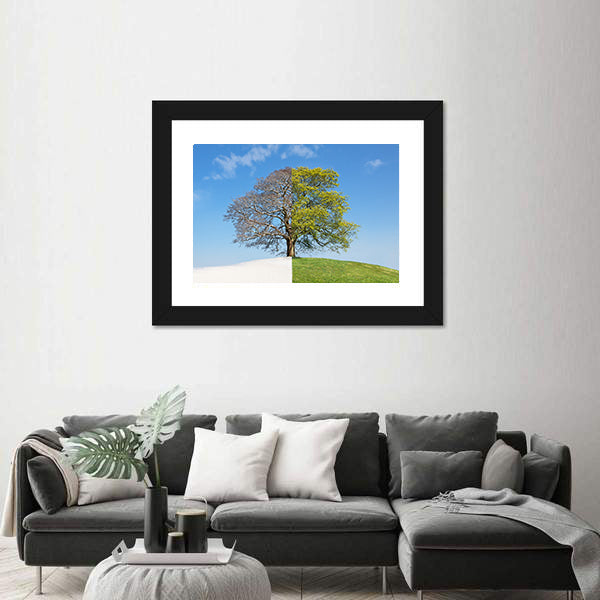 Tree Split Between Winter and Summer Canvas Wall Art