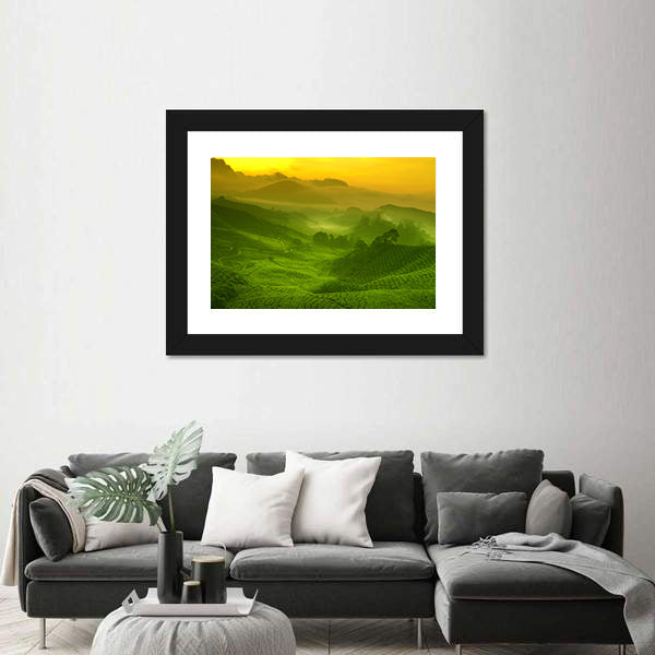 Tea Plantation In Cameron Highland At Sunrise Canvas Wall Art