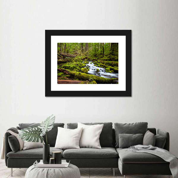 Sol Duc Falls Trail In Olympic National Park Canvas Wall Art