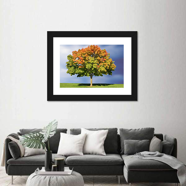Maple Tree In Autumn Canvas Wall Art