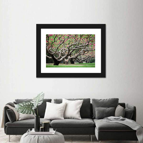 Peach Trees With Blooming Pink Flowers Canvas Wall Art
