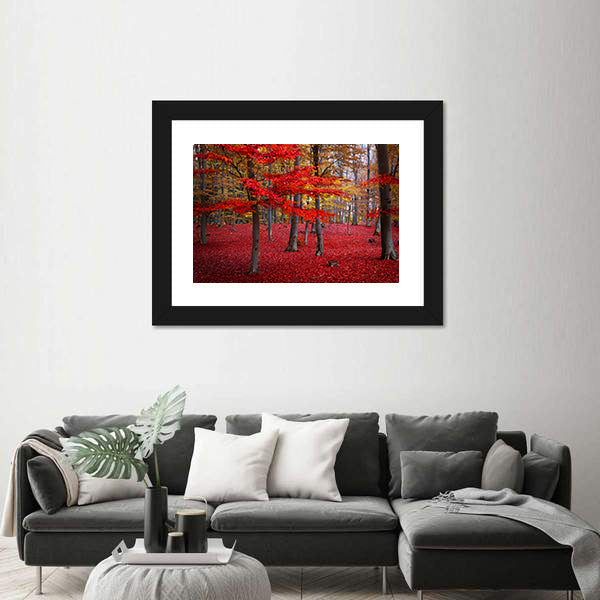 Red Trees In The Forest During Fall Canvas Wall Art
